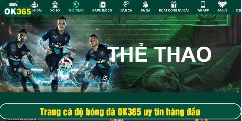 Trang chủ 42 cá độ thể thao OK365